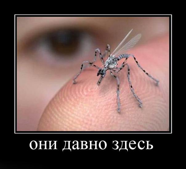 Они давно здесь