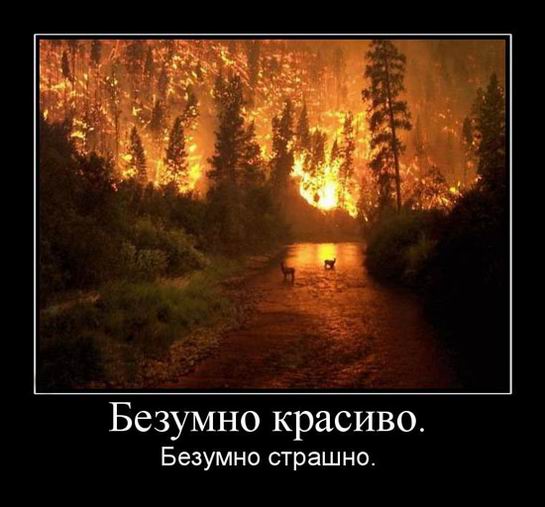 Безумно красиво. Безумно страшно