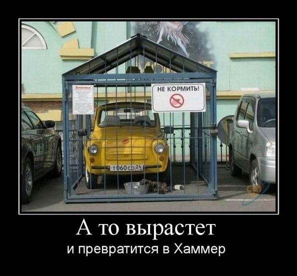 А то вырастет и превратится в Хаммер