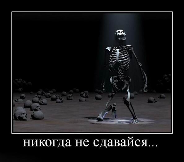 Никогда не сдавайся...