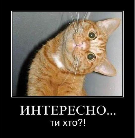 Интересно... Ты кто?!