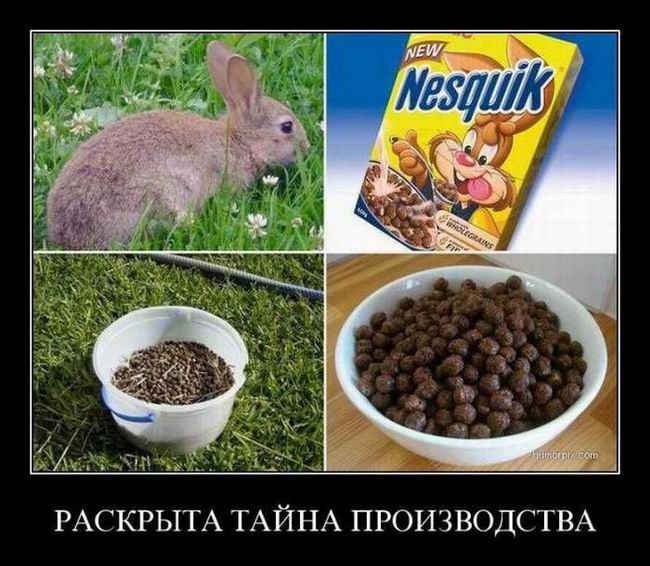 Раскрыта тайна производства