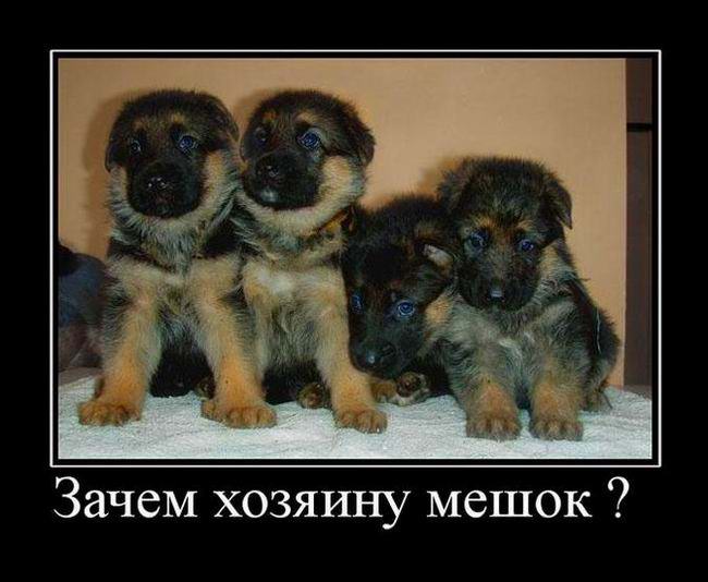 Зачем хозяину мешок?