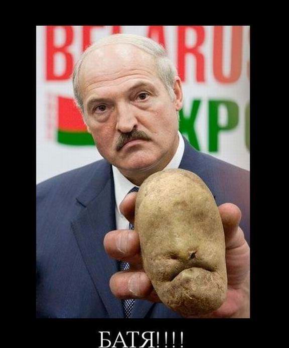 Батька!