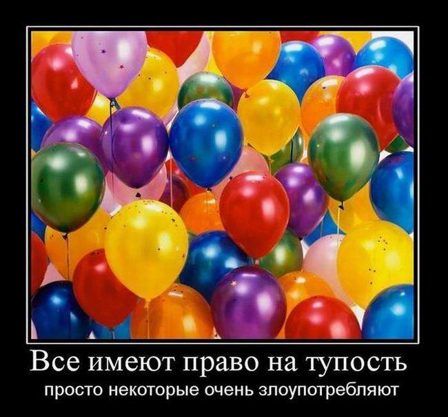 Все имеют право на тупость