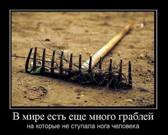 В мире есть еще много граблей