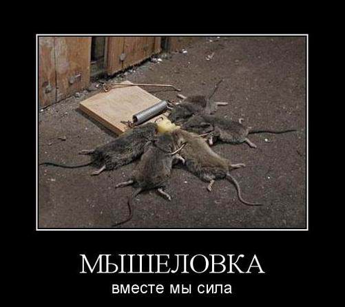 Мышеловка. Вместе мы сила