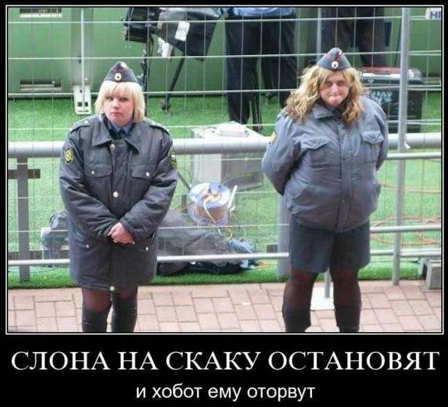 Демотиваторы 187 часть