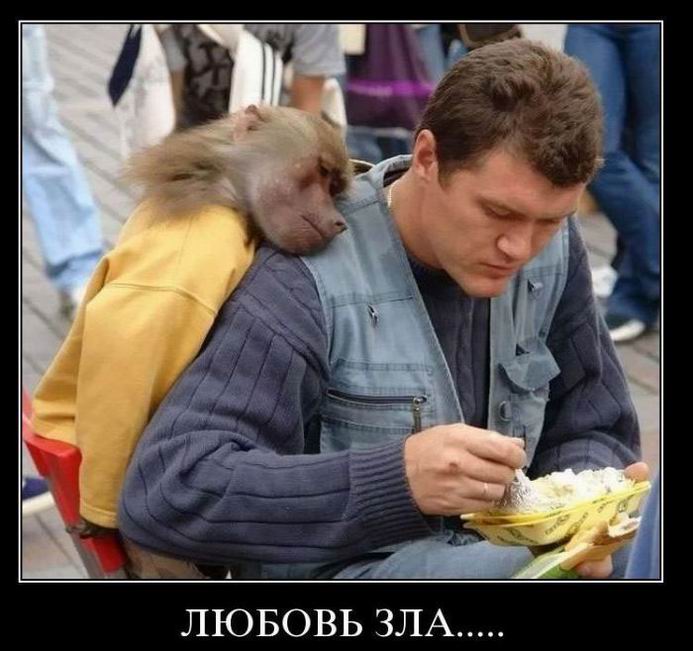 Любовь зла