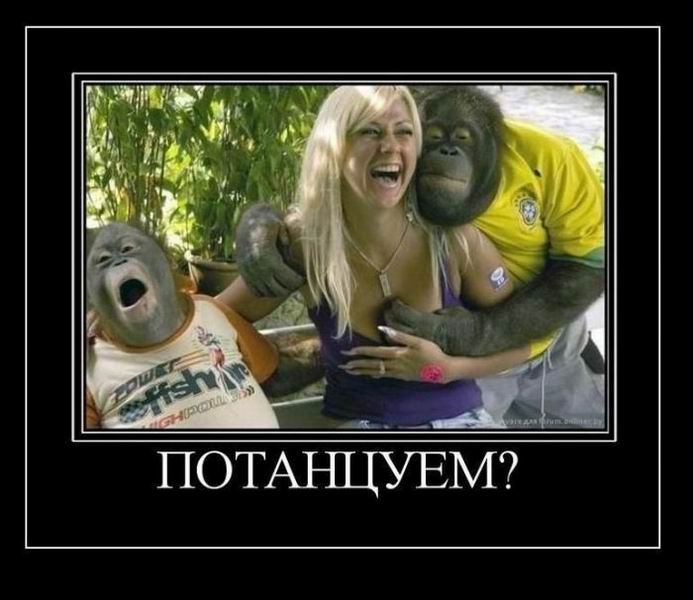Потанцуем?