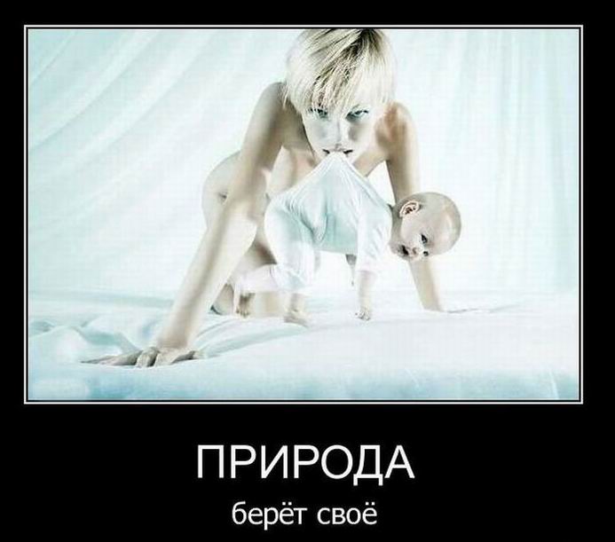 Природа берёт своё