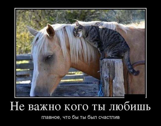 Не важно кого ты любишь