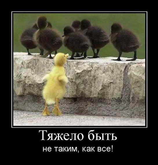 Тядело быть не таким, как все!