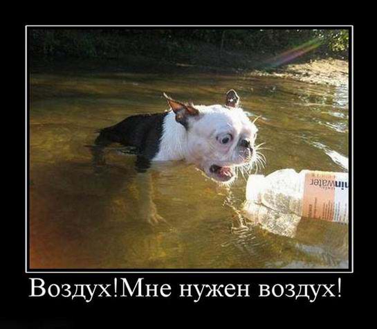 Воздух, мне нужен воздух!