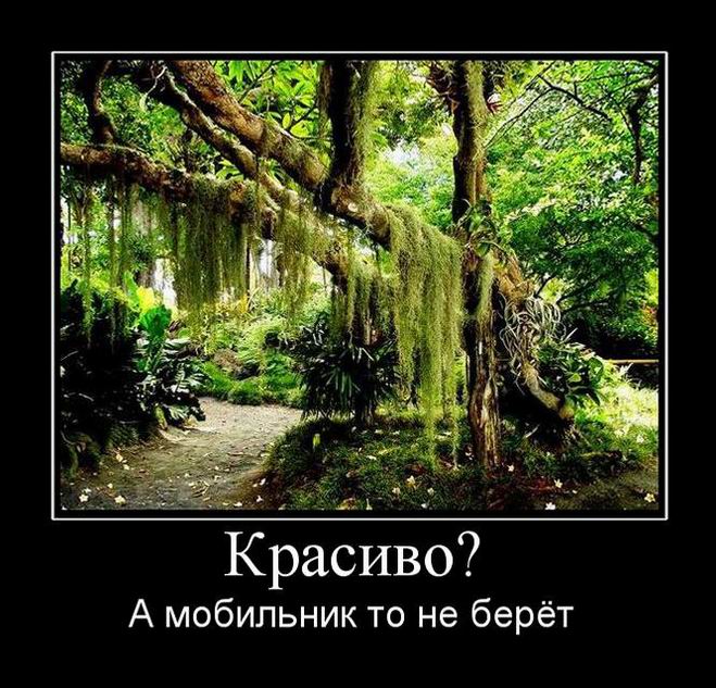 Красиво?