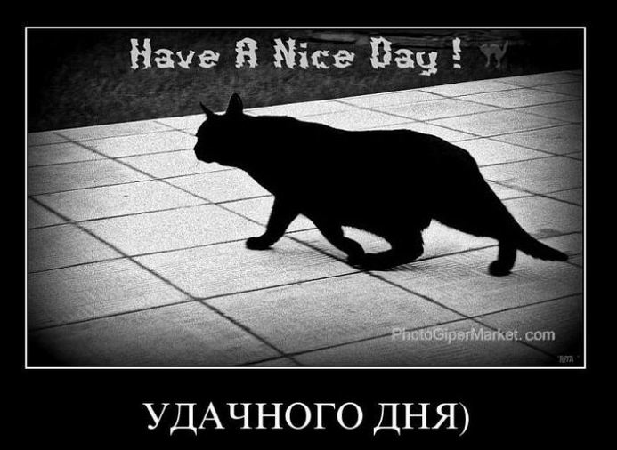 Удачного дня!