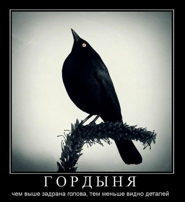 Гордыня
