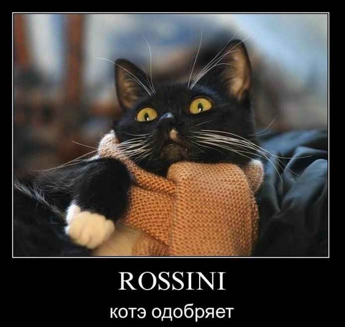 Rossini. Кот одобряет