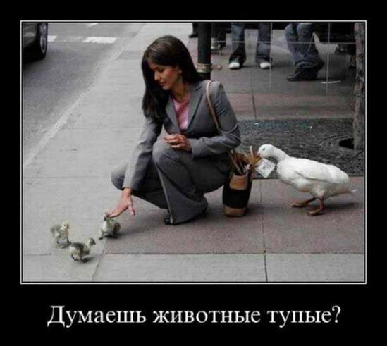 �������, �������� �����?