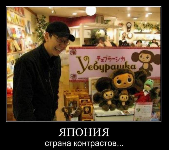 Япония – страна контрастов...