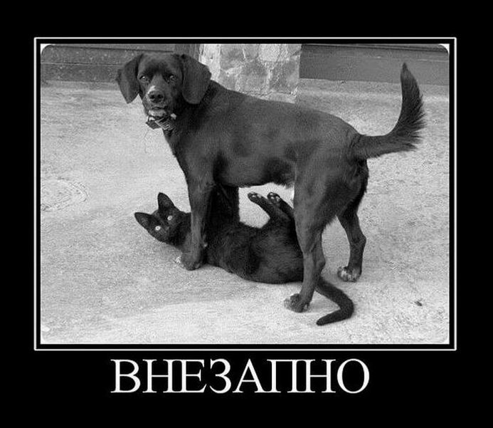 Внезапно