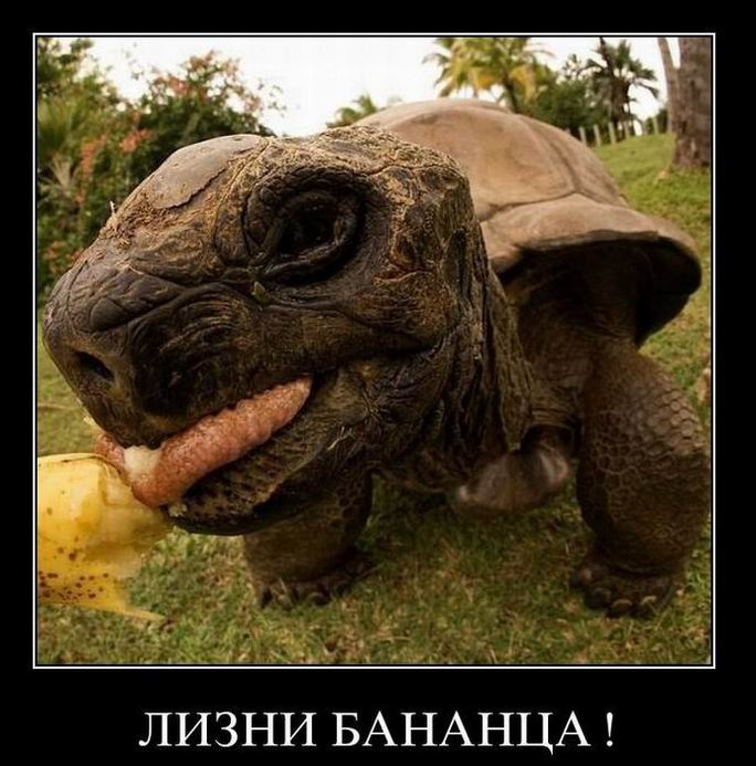 Не понимаю