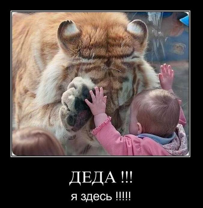 Деда! Я здесь!