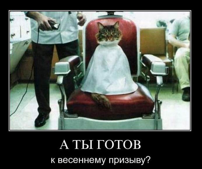 А ты готов к весеннему призыву?