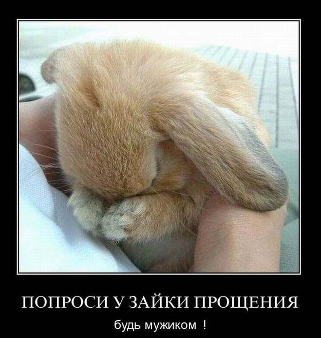 Попроси у зайки
