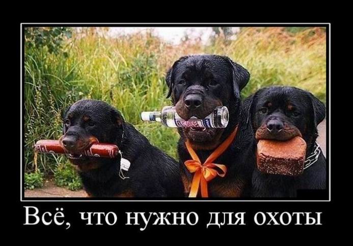 Всё, что нужно для охоты
