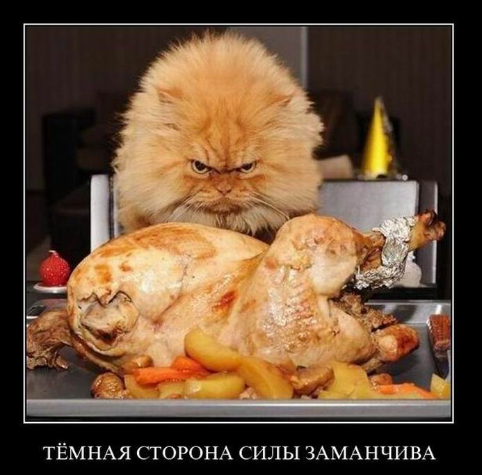 Тёмная сторона силы заманчива