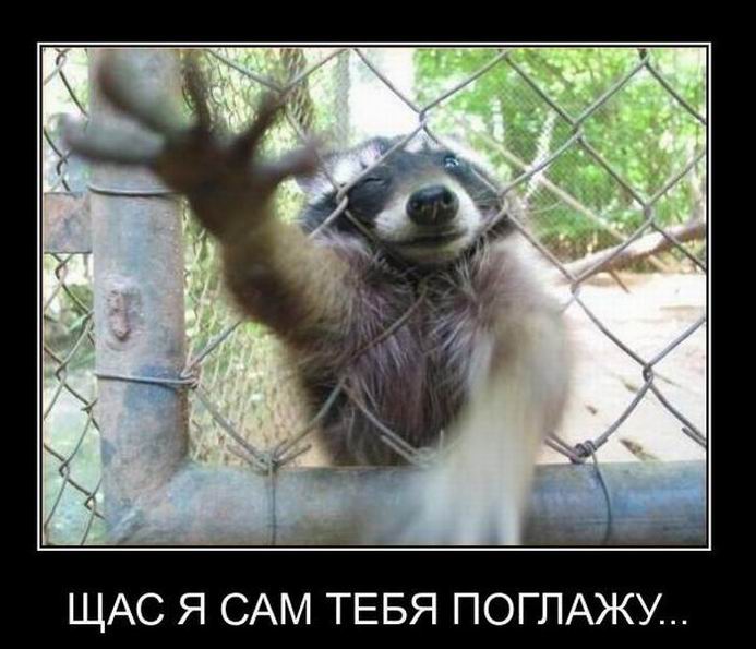 Щас я сам тебя поглажу...