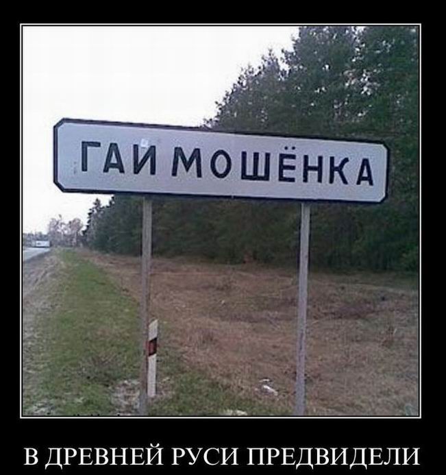 Гай Мошёнка