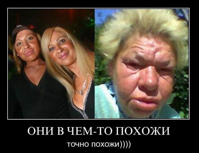 Они в чём-то похожи, точно похожи