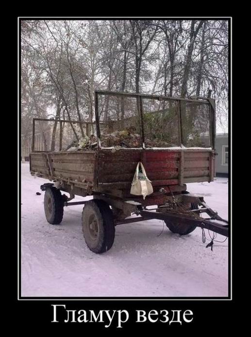Гламур везде