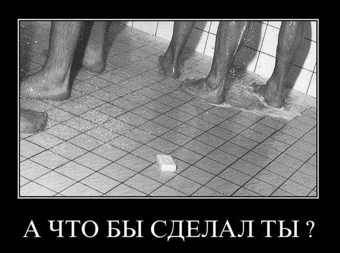 А что бы сделал ты?