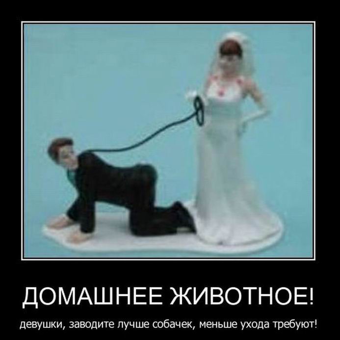 Домашнее животное!