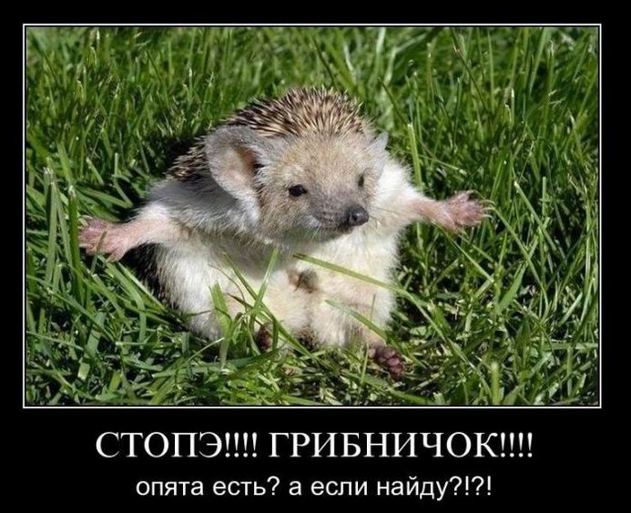 , !