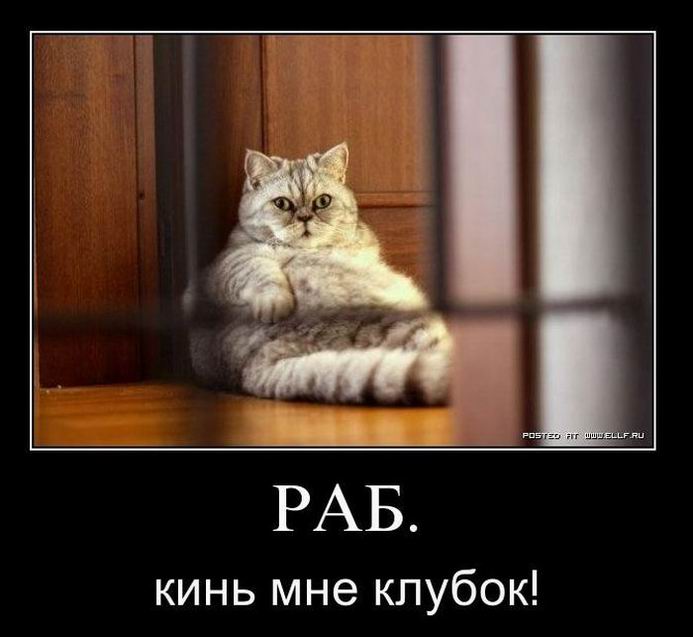 ,   !