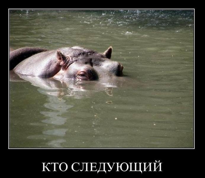 Кто следующий