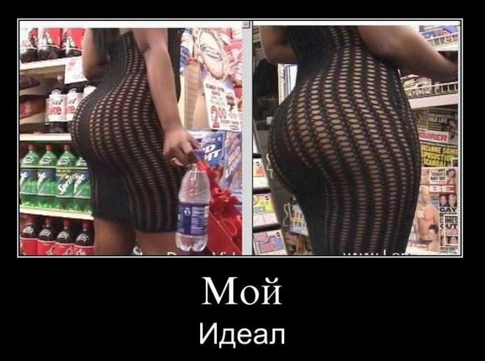 Мой идеал