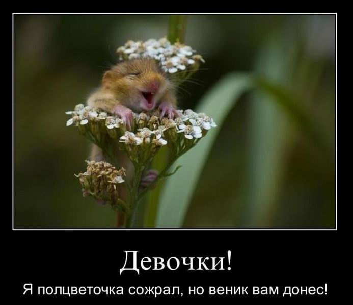 Девочки!