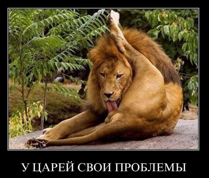 У царей свои проблемы
