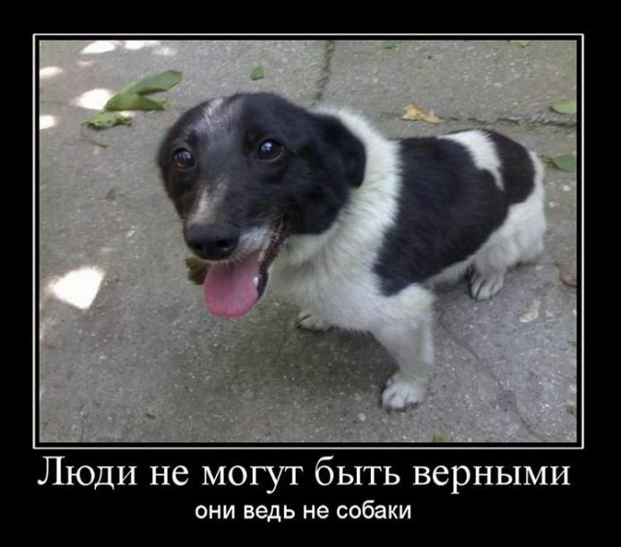 Люди не могут