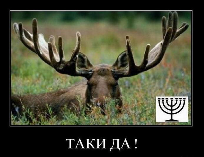 Таки да!