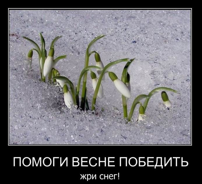   ,  !