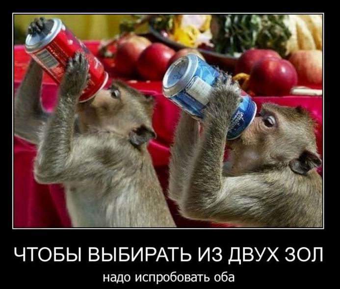 Чтобы выбирать из двух зол