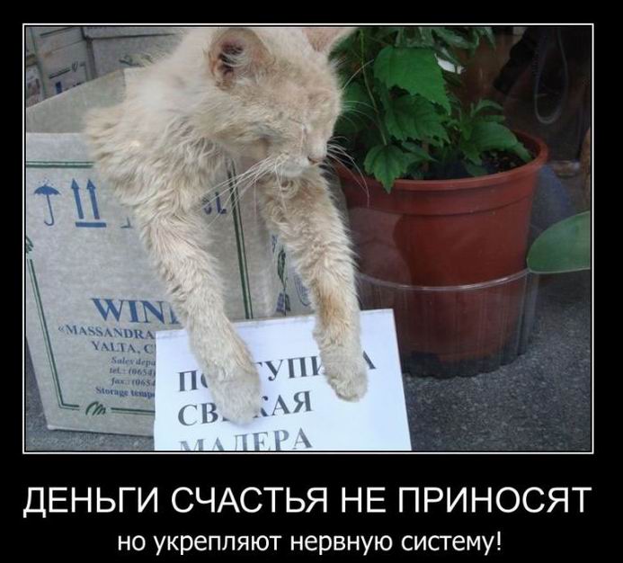 Деньги счастья не приносят