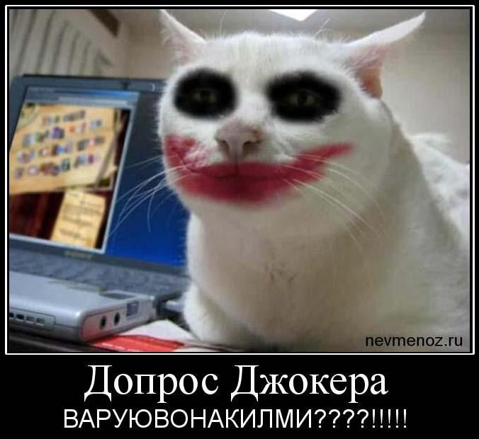  (49 )