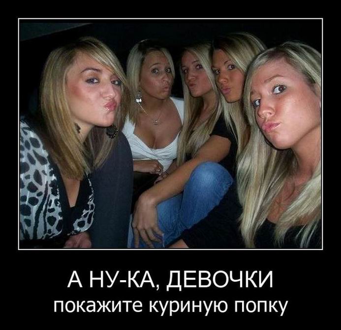  (282 )